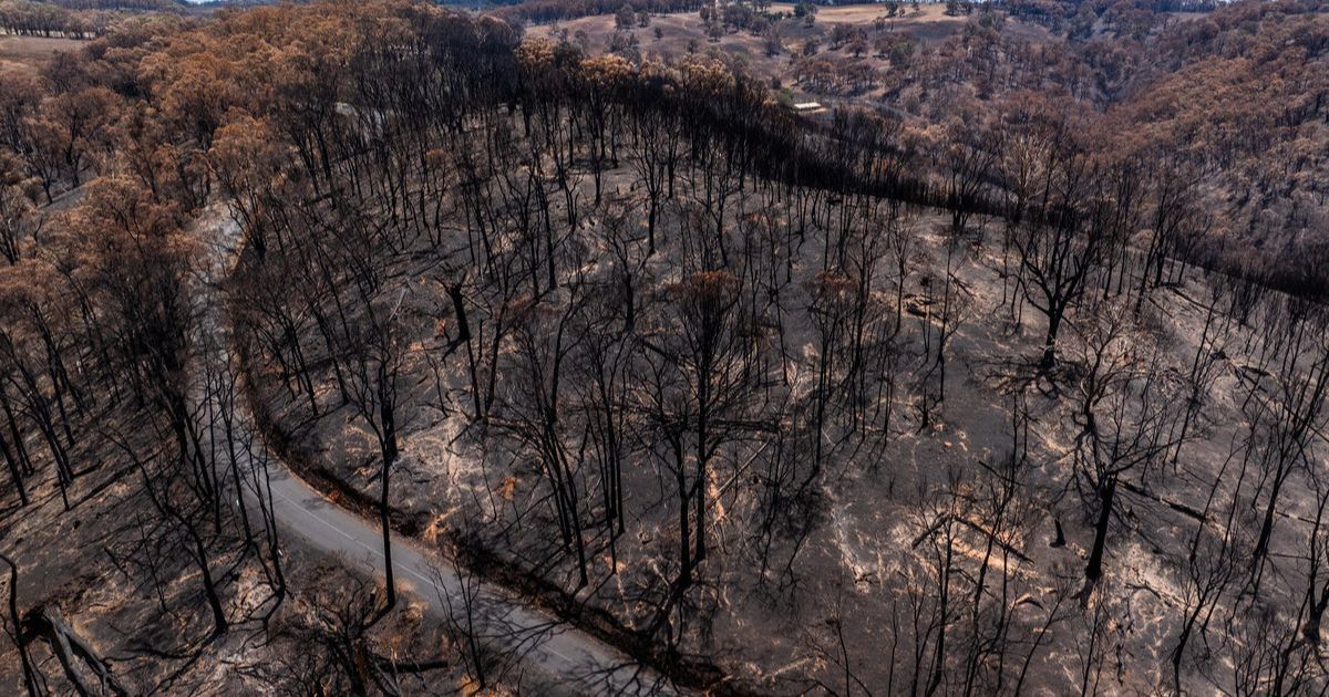 Otway bushfires climate change analysis