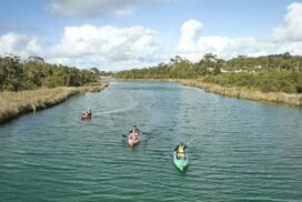 Anglesea Surf Coast