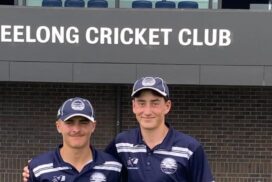 Geelong junior cricket