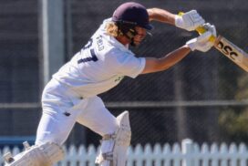 Geelong Cats Cricket