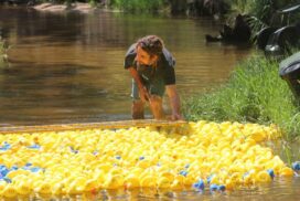 Shelford duck race
