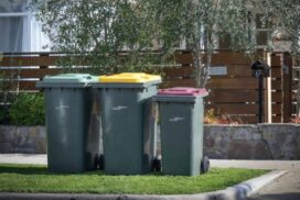 Geelong Bin Collection
