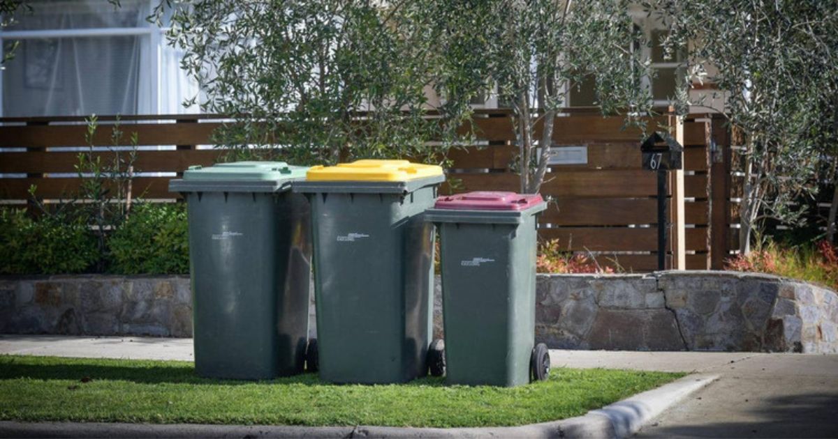 Geelong Bin Collection