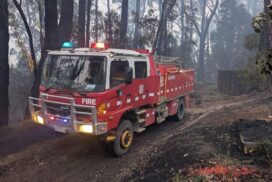Carlisle River bushfire recovery