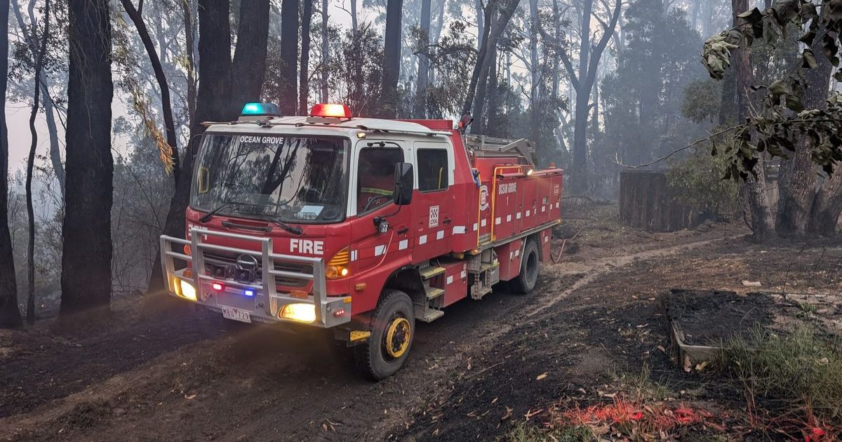Carlisle River bushfire recovery