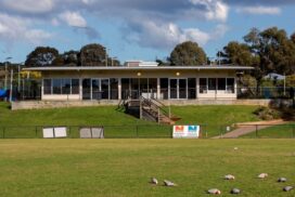 Jan Juc cricket fence