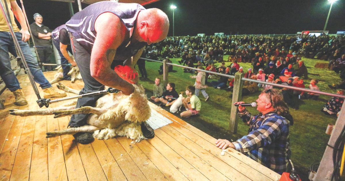 Winchelsea speed shearing
