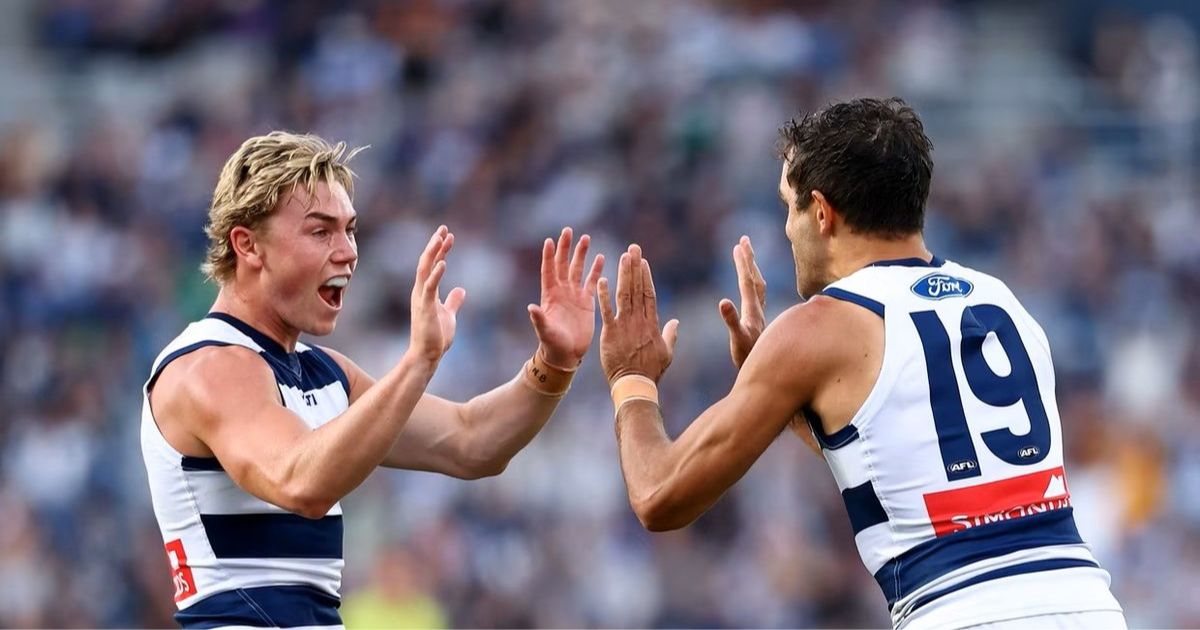 Geelong Cats competition