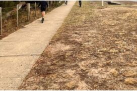 Camp Road cycling path