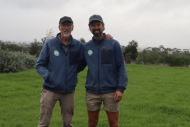 Bellbrae Nursery relocation