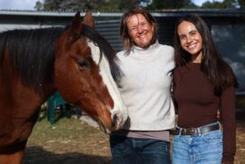Equine Healing Mount Duneed
