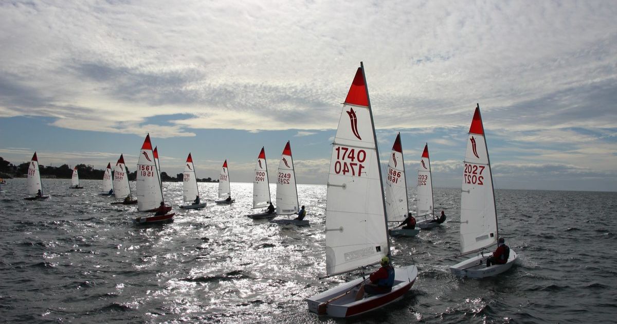 Sail Bellarine regatta