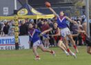 South Barwon Swans coach