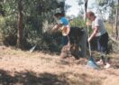 Surf Coast bushfire prep