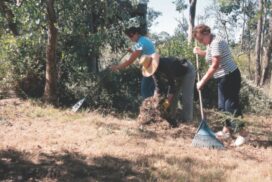 Surf Coast bushfire prep