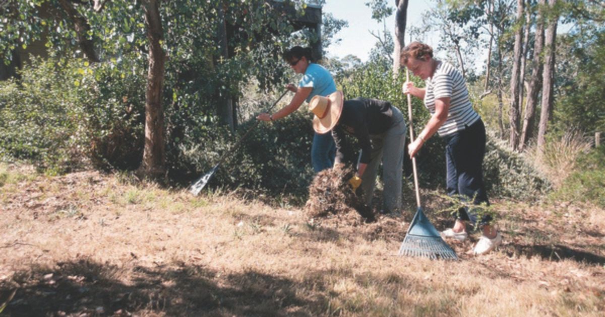 Surf Coast bushfire prep