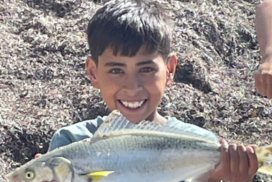 Victoria rainbow trout stocking