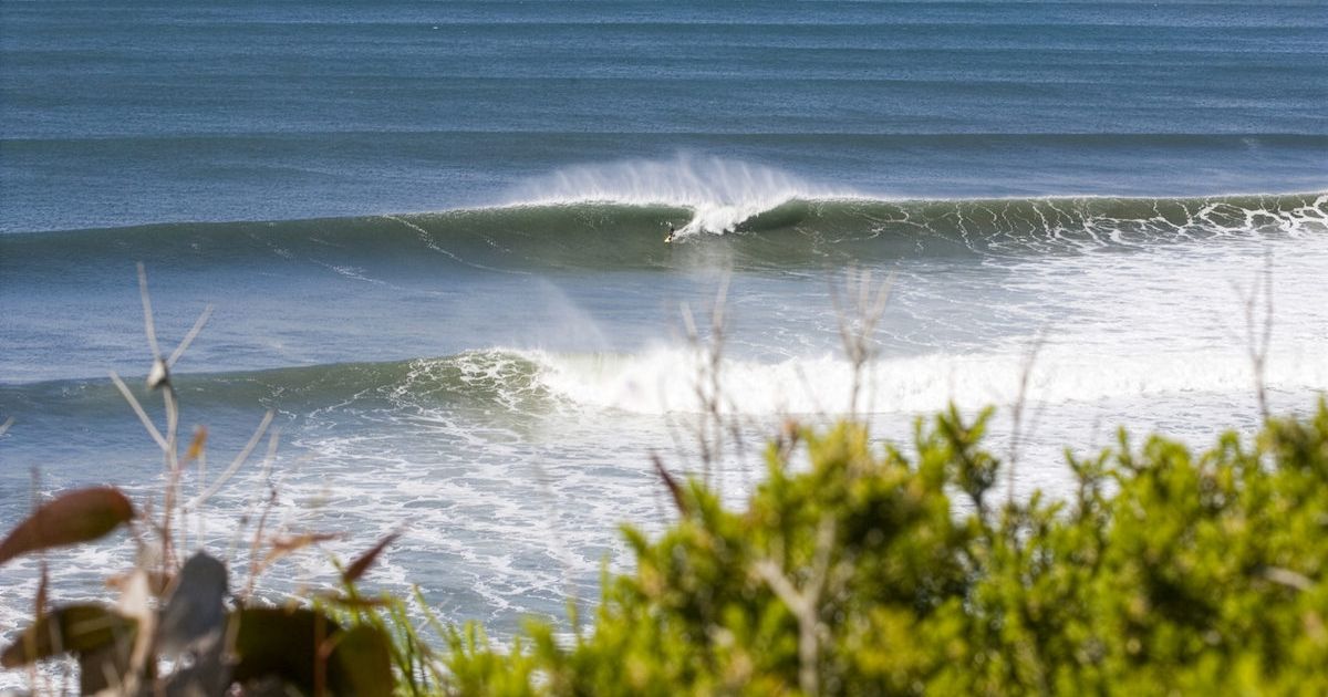 Bells Beach Junior