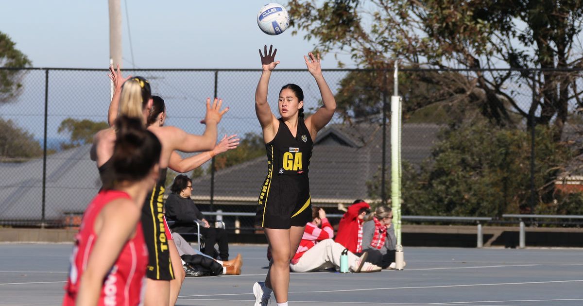 Torquay Tigers netball