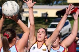 Drysdale Hawks future