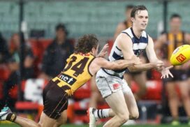 Cats vs Hawks