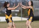 Grovedale Tigers football