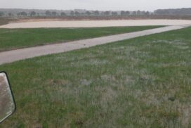 Tough winter farming