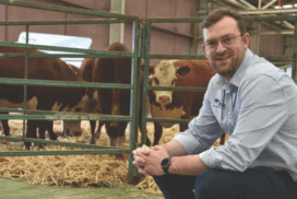 livestock market pressures