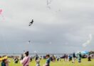 Kids+ Kite Festival