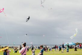Kids+ Kite Festival