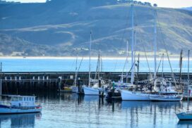 Apollo Bay Snapshot