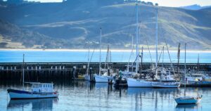 Apollo Bay Snapshot