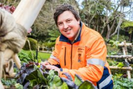 Geelong wellbeing strategy