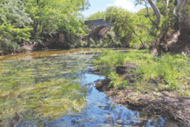 Moorabool River flow