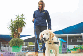 Seeing Eye Dogs appeal