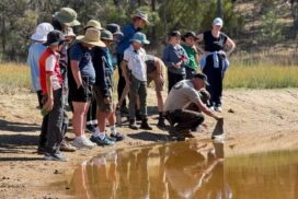 Bushcraft survival training
