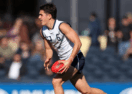 Falcons All-Australian duo