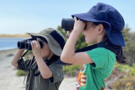 Geelong Nature Festival