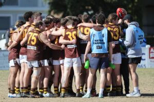 BFL Reserves Elimination Final Drysdale vs Barwon Heads