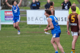 BFL season review