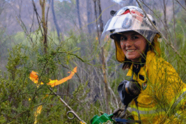 Bushfire Risk Grants