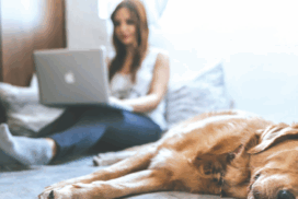 Work From Home Laws
