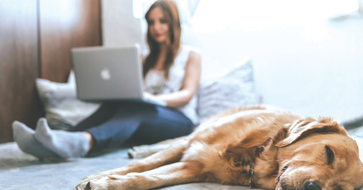 Work From Home Laws
