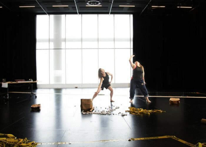 Geelong arts grants