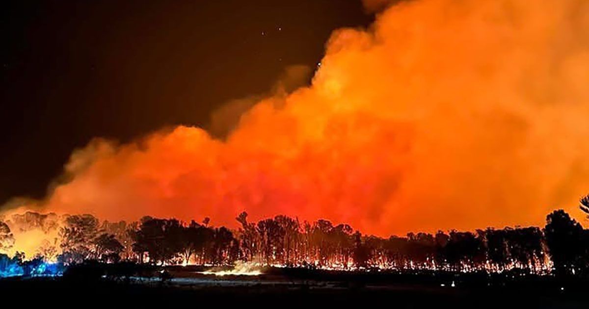 Bushfire survival plan