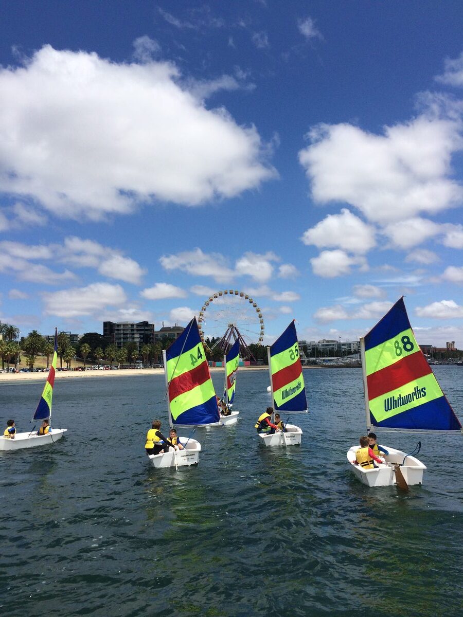 Geelong sailing program