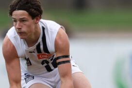Geelong Falcons Futures