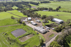 Heytesbury dairy farm