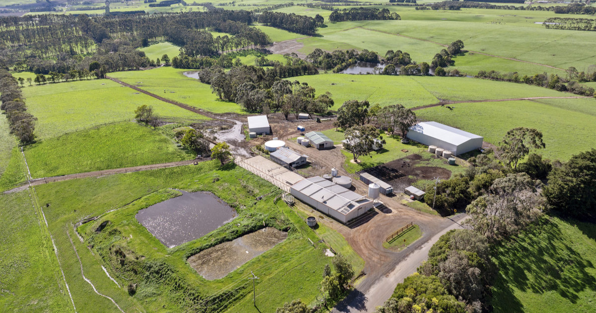 Heytesbury dairy farm