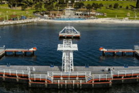 Geelong community survey
